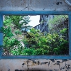 DSC_2678last8bit.jpg