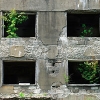 DSC_2646.jpg
